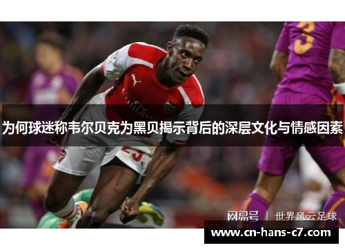 为何球迷称韦尔贝克为黑贝揭示背后的深层文化与情感因素