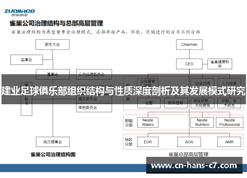 建业足球俱乐部组织结构与性质深度剖析及其发展模式研究