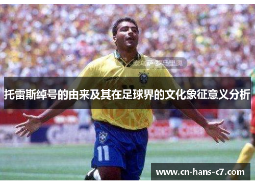 托雷斯绰号的由来及其在足球界的文化象征意义分析