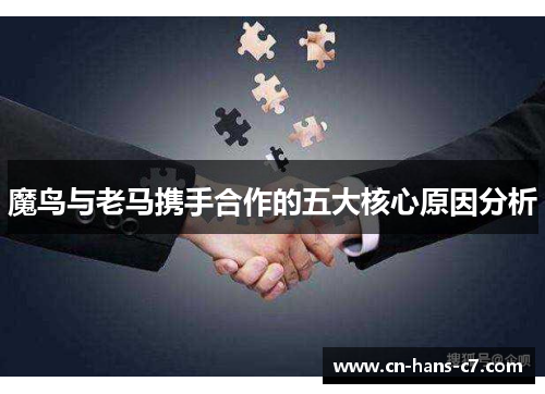 魔鸟与老马携手合作的五大核心原因分析