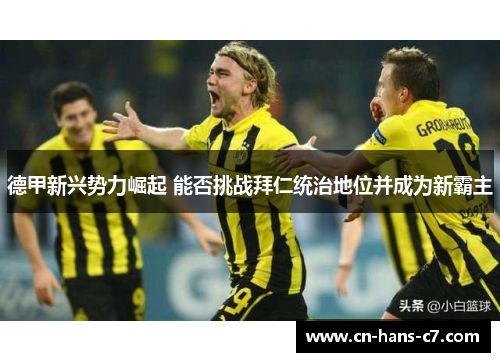 德甲新兴势力崛起 能否挑战拜仁统治地位并成为新霸主