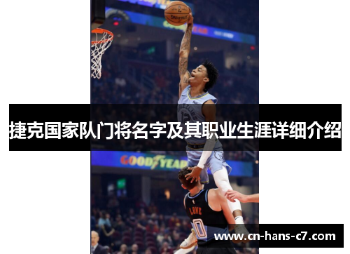 捷克国家队门将名字及其职业生涯详细介绍 捷克国家队门将名字及其职业生涯详细介绍