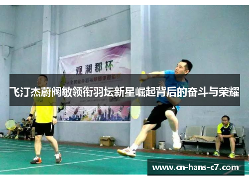 飞汀杰蔚阀敏领衔羽坛新星崛起背后的奋斗与荣耀